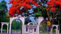 ছবি