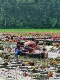 ছবি