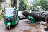 ছবি