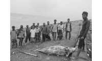 ছবি