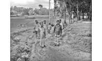ছবি