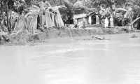 ছবি