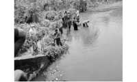 ছবি