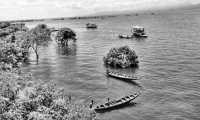 ছবি