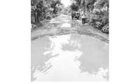 ছবি