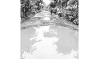 ছবি