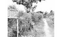 ছবি