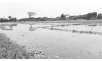 ছবি