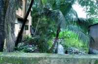ছবি