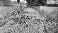 ছবি