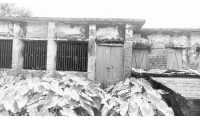 ছবি