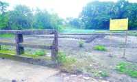 ছবি
