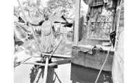 ছবি