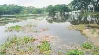 ছবি