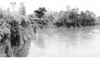 ছবি