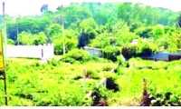 ছবি