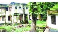 ছবি