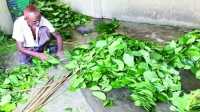 ছবি