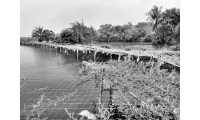 ছবি
