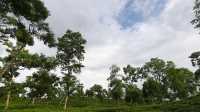 ছবি