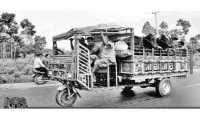 ছবি