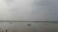 ছবি