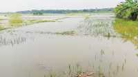 ছবি