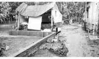 ছবি