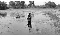 ছবি