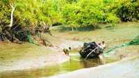 ছবি