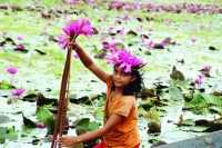 ছবি
