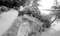 ছবি