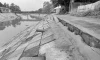 ছবি