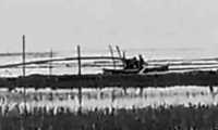 ছবি