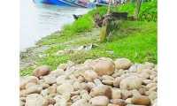 ছবি