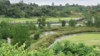 ছবি