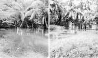 ছবি