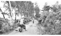ছবি