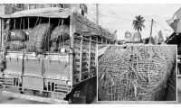 ছবি
