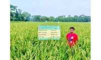 ছবি