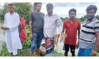 ছবি
