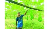 ছবি