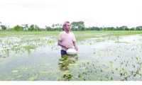 ছবি