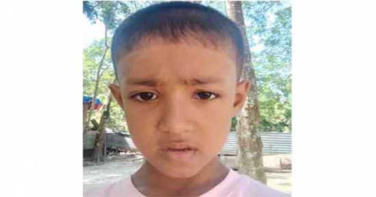 সাপের দংশনে প্রাণ গেলো শিশুর
