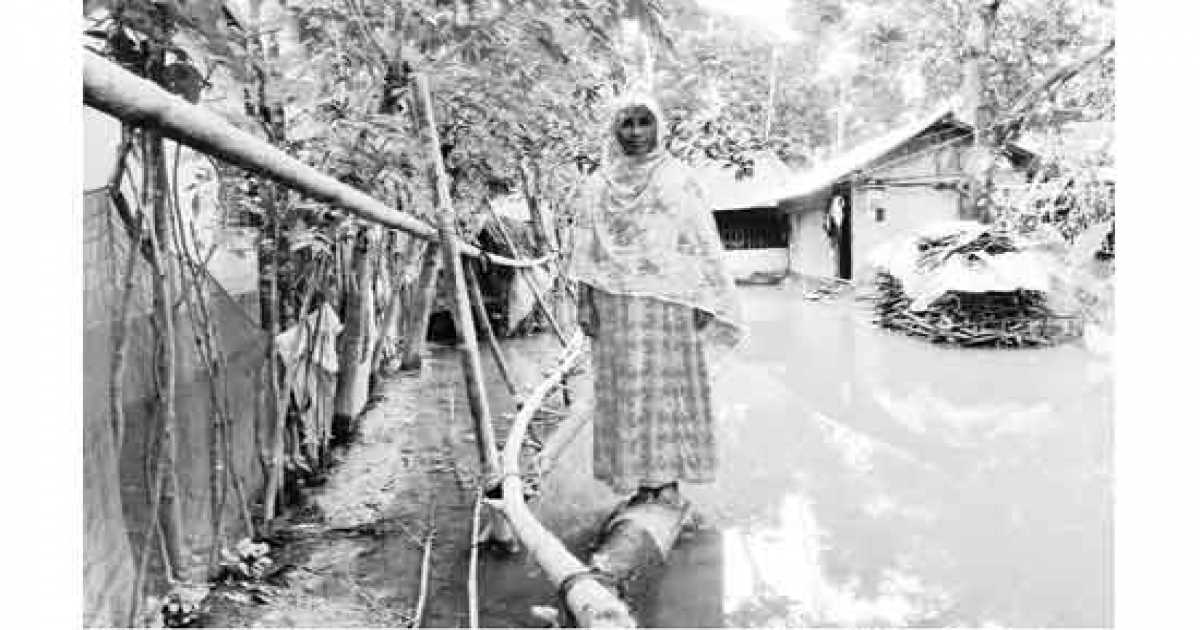 শার্শায় বন্যায় প্লাবিত বিস্তীর্ণ অঞ্চল, আশ্রয়কেন্দ্রে আসছে মানুষ