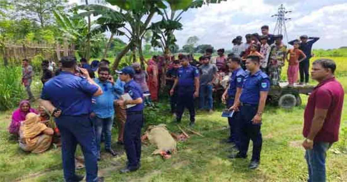 জমি নিয়ে বিরোধে বাবা-ছেলেকে কুপিয়ে হত্যা