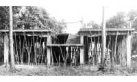 ছবি