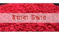 ছবি