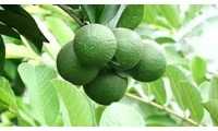 ছবি