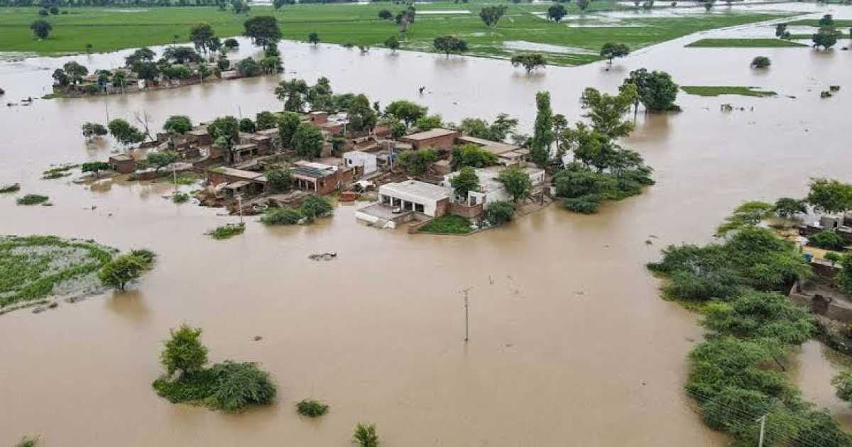 পাকিস্তানের পাঞ্জাবে ভয়াবহ বন্যা, ১৫ জনের মৃত্যু